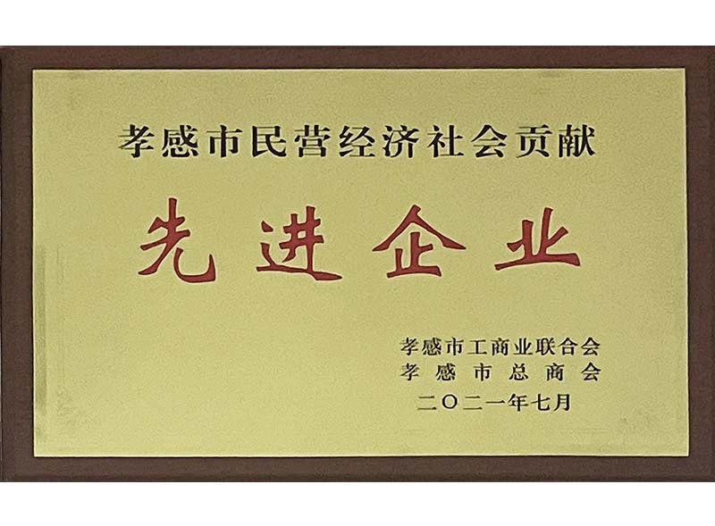 孝感市民營經(jīng)濟(jì)社會貢獻(xiàn)-先進(jìn)企業(yè)